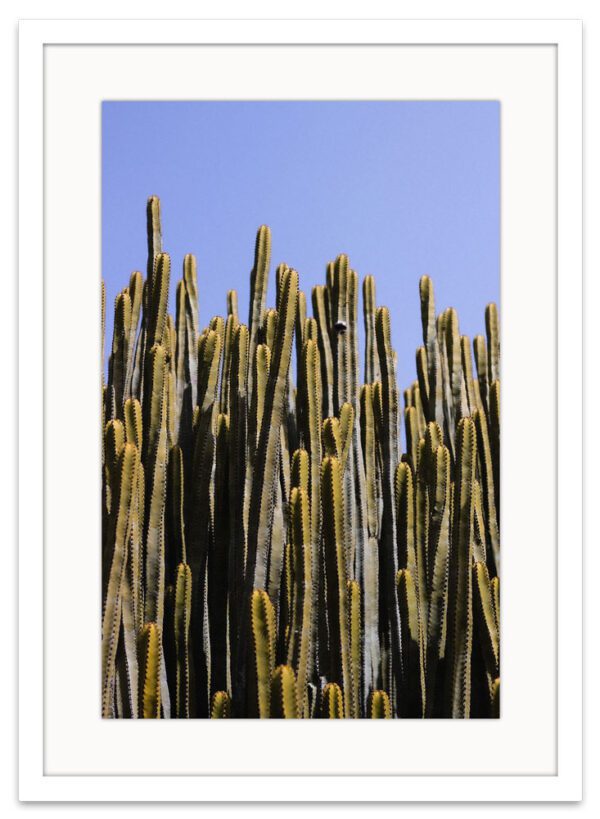 Cactus-ARVIVID-Frame-Vertical-Blanco