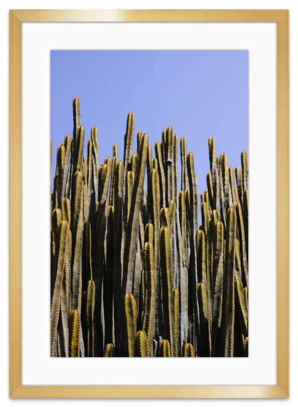 Cactus-ARVIVID-Frame-Vertical-Dorado