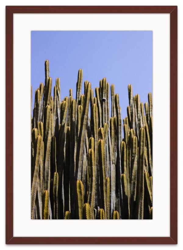 Cactus-ARVIVID-Frame-Vertical-Madera-Oscura