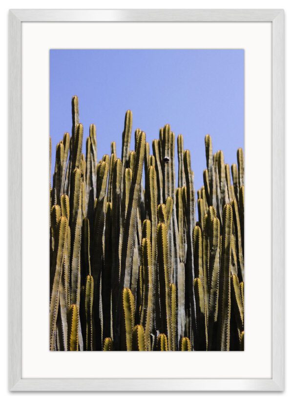 Cactus-ARVIVID-Frame-Vertical-Plateado