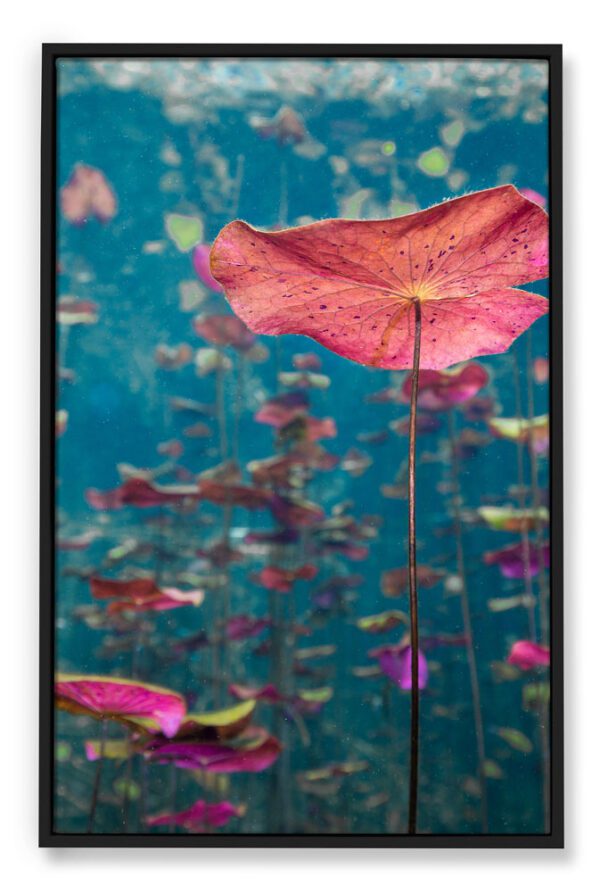 Underwater-Delicacy-ng-ARVIVID-Canvas-Framed-Vertical